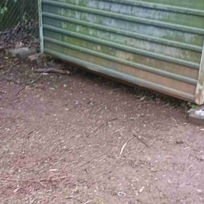 Leaf Removal by Kayala Lawncare reviewed on September 19, 2025