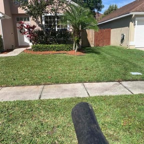 grass cutting by W. D. Giampa Lawn & Landscapes, INC. reviewed on September 25, 2023