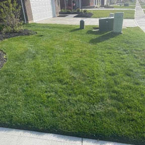 turf care by No Mow Worries Lawn Care reviewed on April 21, 2024