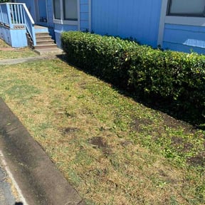 Bush Trimming by We Go Kc Lawn and Snow reviewed on May 18, 2026
