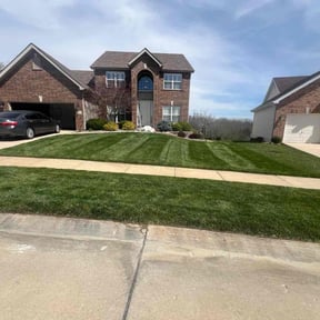 yard care by Ramiro's Lawn Care reviewed on August 21, 2025