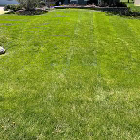 turf maintenance by M&M lawn care reviewed on September 29, 2023