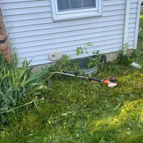 Leaf Removal by Mow N Go Lawn Care reviewed on September 21, 2025