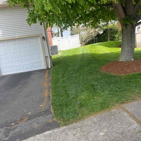 grass cutting by T and T Strong reviewed on May 9, 2024