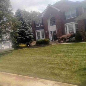 lawn care by Motions Junk Removal reviewed on May 10, 2024