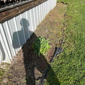 Flower Bed Weeding by All American Services reviewed on April 1, 2026