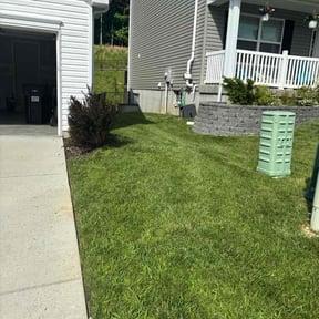 Bush Trimming by Neighborhood lawn care Llc reviewed on August 18, 2025