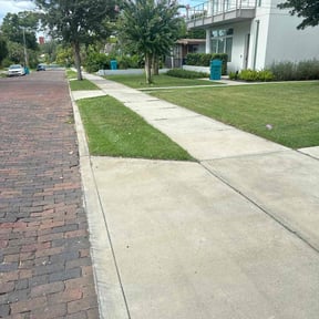 gardening service by Danny lawn care reviewed on August 15, 2025
