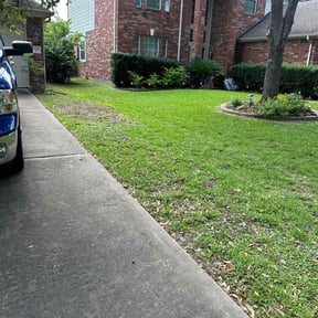 landscaping by Whitfields Lawn Care reviewed on August 15, 2025