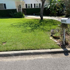 yard service by Mauler Mowing LLC reviewed on August 17, 2025
