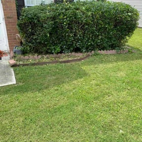 Bush Trimming by DBA Four seasons, landscaping reviewed on August 15, 2025