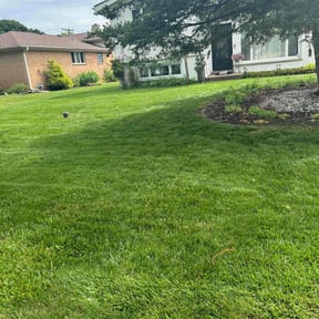 residential landscaping by Boss Outdoor Service reviewed on August 16, 2025
