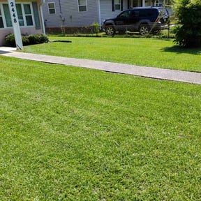 yard maintenance by Lamers and Sons reviewed on August 20, 2025
