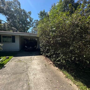 turf care by Southern Cut Lawn Care reviewed on April 22, 2025