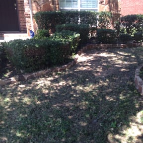 Bush Trimming by DPR Land and Hardscape Design reviewed on August 19, 2025