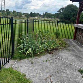 Flower Bed Weeding by Growing tree llc reviewed on June 22, 2026