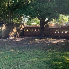 Leaf Removal by Smith Solves Situations LLC reviewed on September 25, 2025