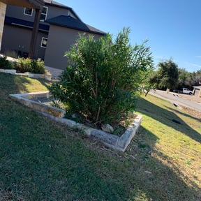 Bush Trimming by SunnySide Servicing reviewed on August 15, 2025