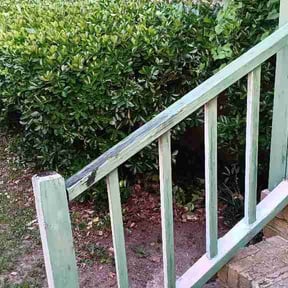 Bush Trimming by LISKO LAWNCARE AND TRASH REMOVAL LLC reviewed on June 9, 2026