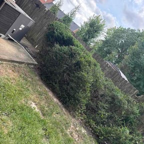 Bush Trimming by G III Landscapers LLC reviewed on October 16, 2026