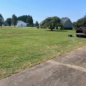 turf maintenance by McGee Outdoors llc reviewed on April 5, 2025