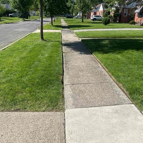 yard service by Alternative Lawn Care reviewed on August 20, 2025