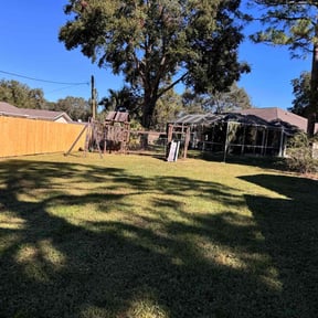 yard care by Hygienic Exterior Maintenance reviewed on August 19, 2025