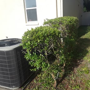 Bush Trimming by Garcia lawn care reviewed on August 21, 2025