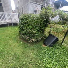 Bush Trimming by One yard at a time reviewed on August 20, 2025