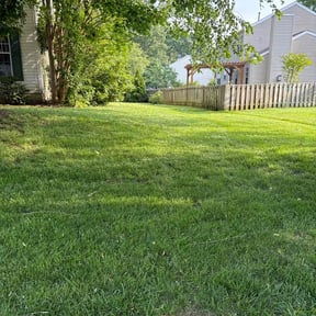 yard work by Facility Landscape Maintenance reviewed on December 4, 2025