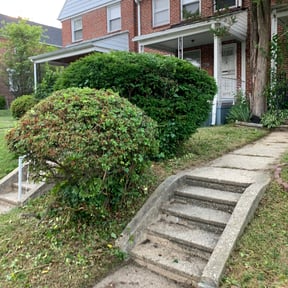 Bush Trimming by JACKSON Lawn Care reviewed on August 19, 2025
