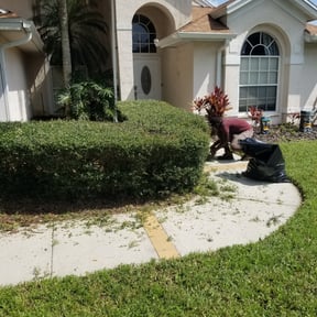 Bush Trimming by Ultimate Landscape Contractor reviewed on August 18, 2025