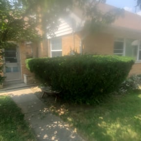 Bush Trimming by N&J Lawn Care reviewed on August 20, 2025