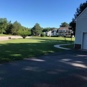 lawn care services by The Business reviewed on August 21, 2025