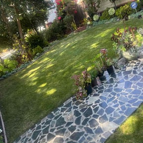 yard maintenance by Golden Acres Lawn Care reviewed on August 15, 2025