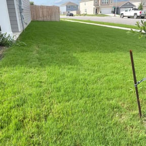 landscaping services by Deluxe Services by Alberto reviewed on August 15, 2025
