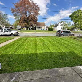 turf maintenance by Deonte Deas reviewed on August 21, 2025