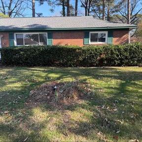 Bush Trimming by SAFE LANDSCAPING DESIGNS reviewed on January 8, 2026