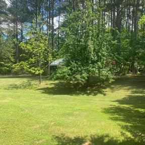 grass maintenance by Graves landscaping reviewed on October 8, 2024