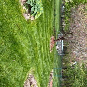 gardening service by Auggie’s Lawn Care reviewed on August 15, 2025