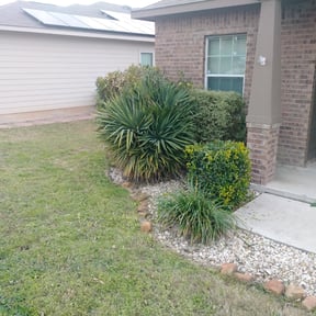 Bush Trimming by Y&R reviewed on August 16, 2025