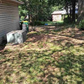 Bush Trimming by Gios Multitask Lawn &amp; Landscaping Services LLC reviewed on July 9, 2026