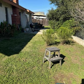 lawn care by Keith Dalke reviewed on March 17, 2024