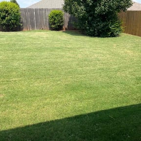 lawn service by Almost Perfect lawncare reviewed on May 1, 2024