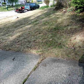 Leaf Removal by B&amp;C Lawn and Landscaping LLC reviewed on September 19, 2025