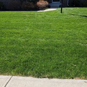 yard maintenance by Landscaping Gomez reviewed on August 20, 2025