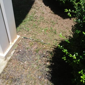 Flower Bed Weeding by Perez Landscaping reviewed on August 17, 2025