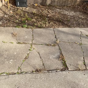 Leaf Removal by D&#039;s Lawn Care reviewed on September 13, 2025