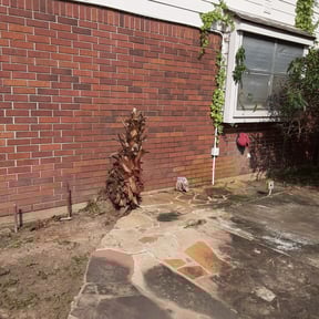 Bush Trimming by Spicy Cuts Lawn Care reviewed on August 19, 2025