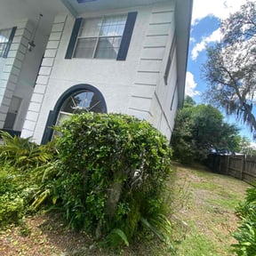 Bush Trimming by EV Great Valley Landscaping,LLC. reviewed on April 27, 2022